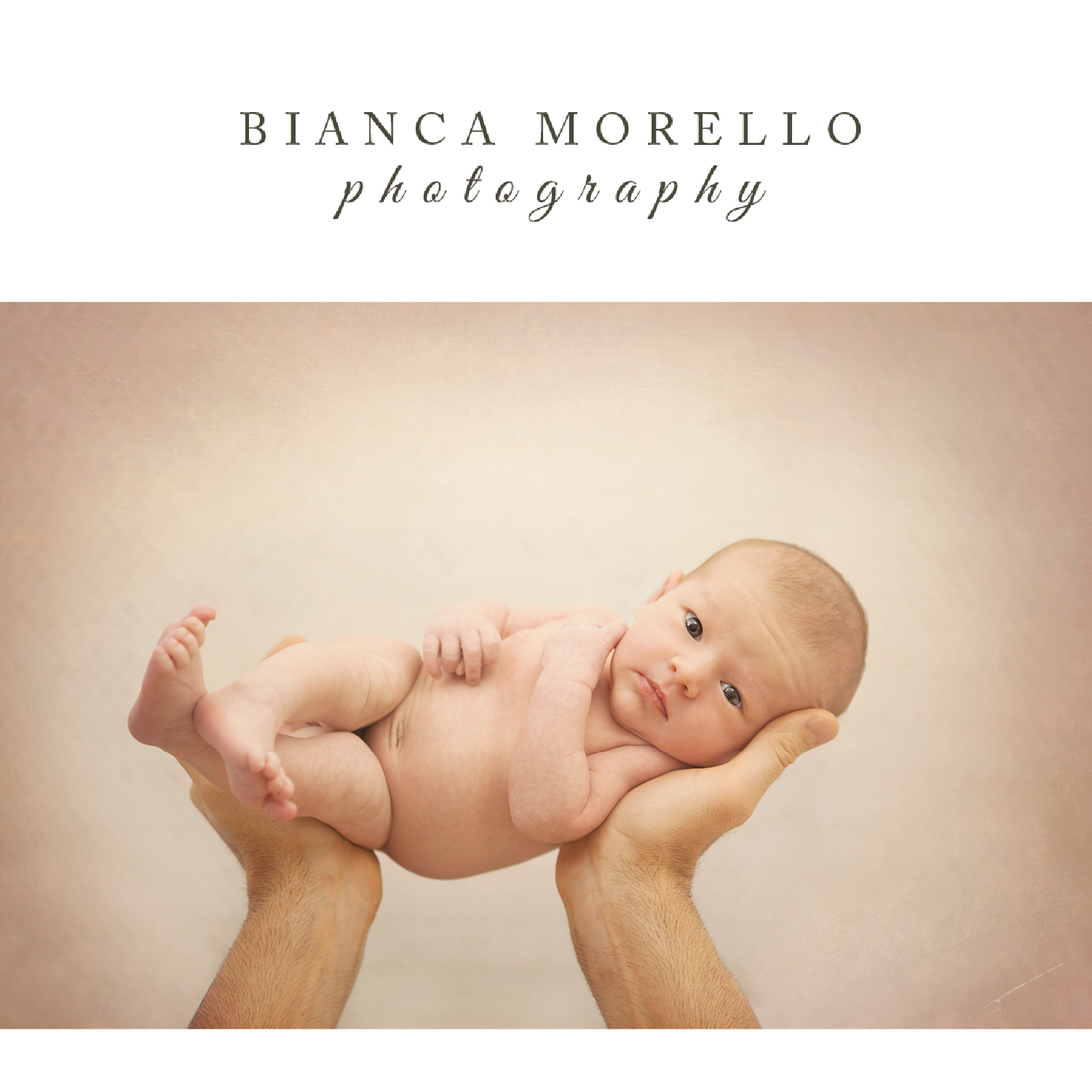 Bianca Morello Photography