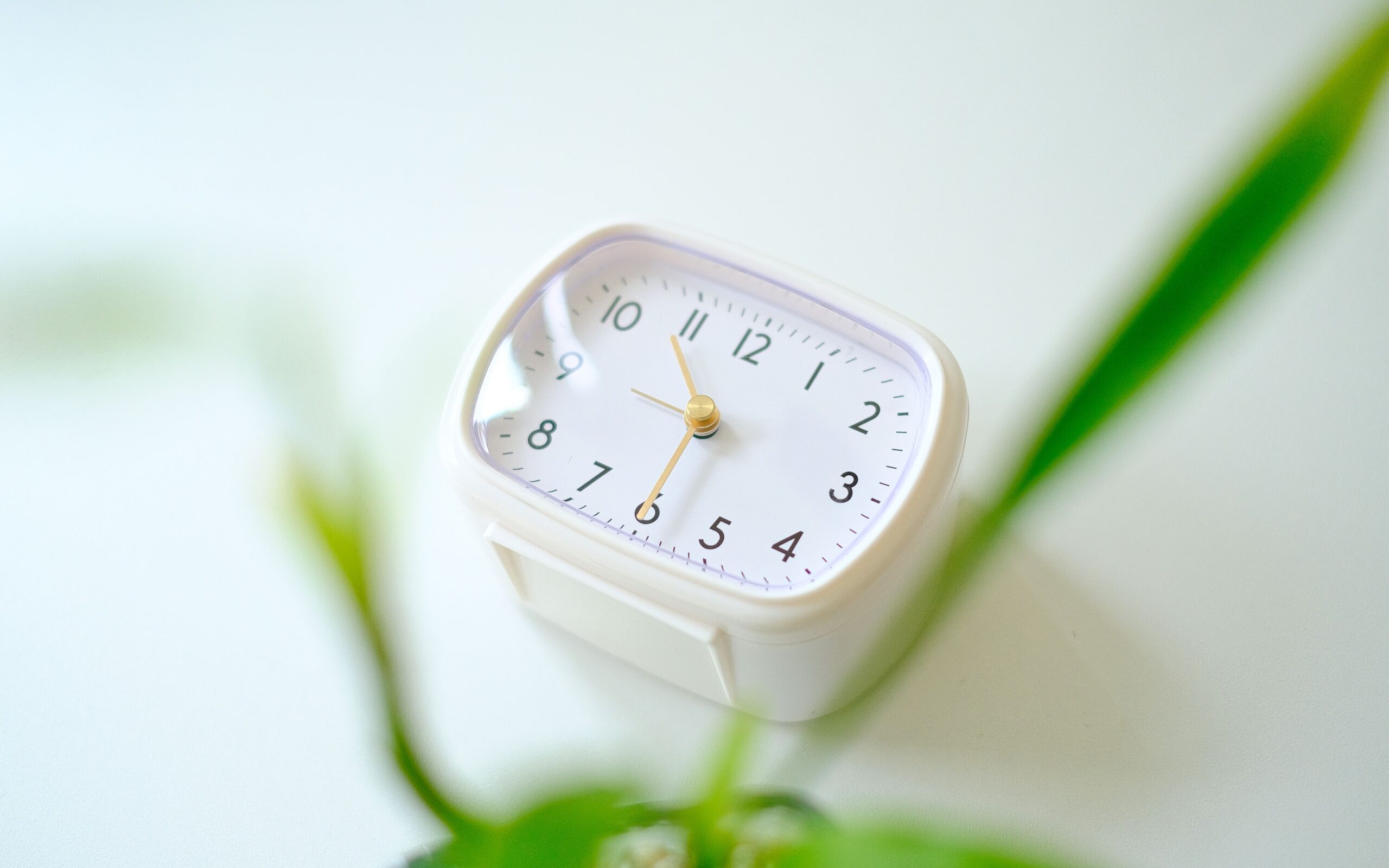 white minimal clock with green plant