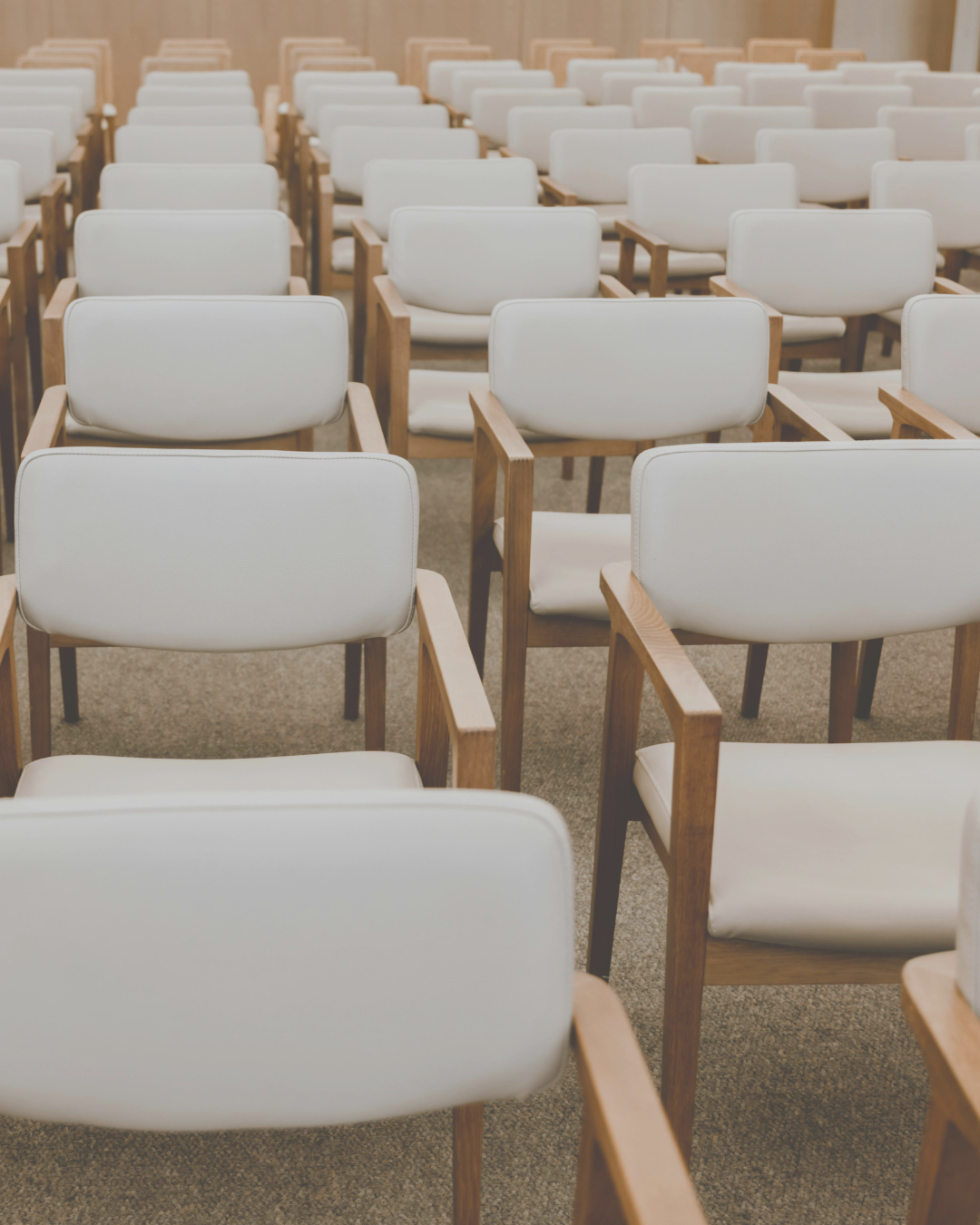 White and light wood chairs arranged in rows for speaking engagement.